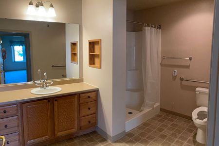 Large Bathroom